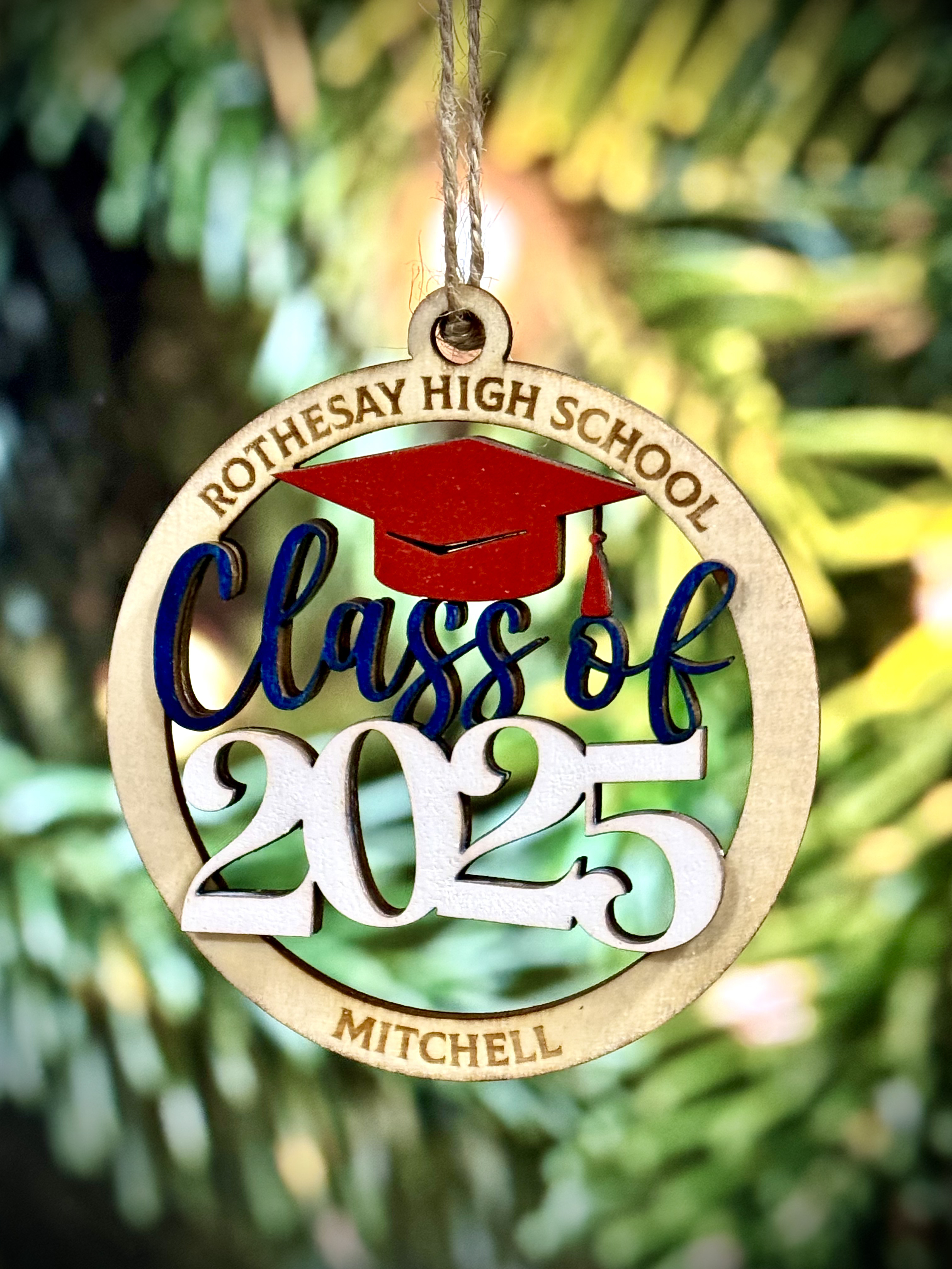 Assorted Holiday Ornaments 2024